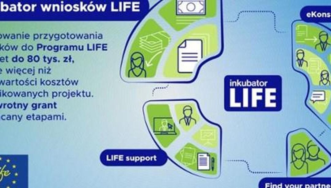 Inkubator wniosków LIFE 2024 w pigułce