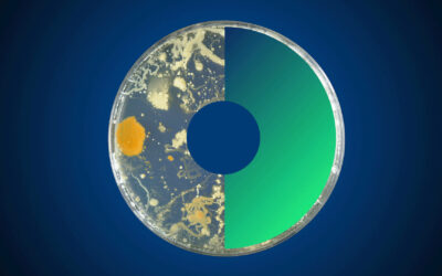 Ogłoszenie konkursu EUP OHAMR Call 2026 – międzynarodowe projekty badawcze w obszarze One Health i oporności na środki przeciwdrobnoustrojowe