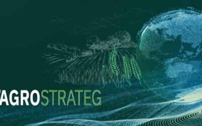 NCBR: AGROSTRATEG – zapowiedź nowego programu strategicznego na rzecz innowacji w sektorze rolnym