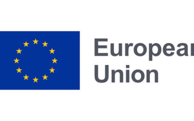 Nowy słownik NEB Facility – wsparcie dla wnioskodawców programu Horyzont Europa