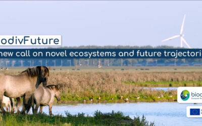 NCN: Zapowiedź konkursu Biodiversa+ 2026 – międzynarodowe projekty dotyczące bioróżnorodności