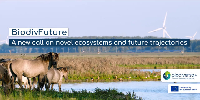NCN: Zapowiedź konkursu Biodiversa+ 2026 – międzynarodowe projekty dotyczące bioróżnorodności